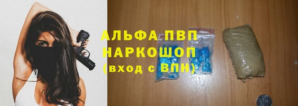 индика Беломорск