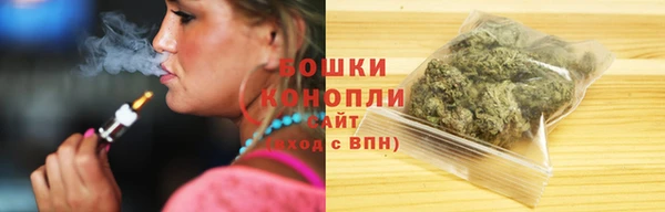 индика Беломорск