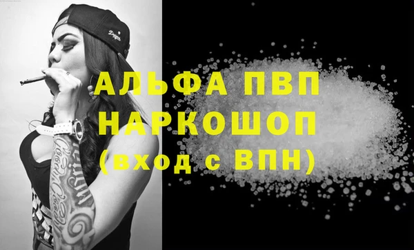 индика Беломорск