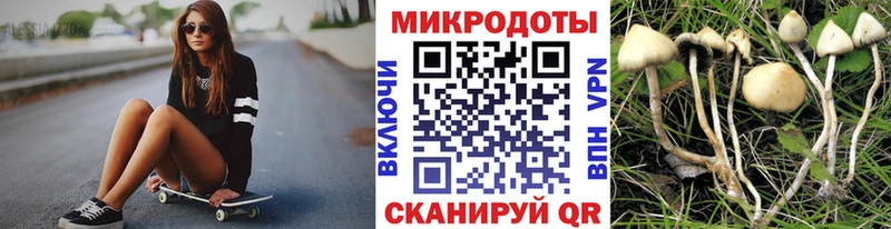 магазин продажи   кракен как зайти  Галлюциногенные грибы GOLDEN TEACHER  Мезень 