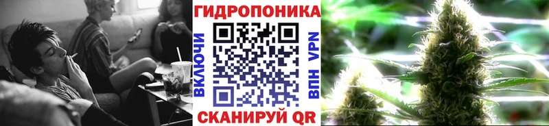 Каннабис AK-47  kraken ссылки  Мезень 